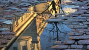 オラフの名言10選 心に響く言葉 Live The Way