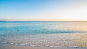 トリコの名言30選 心に響く言葉 Live The Way