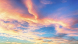 ガチンコ ファイトクラブの名言選 心に響く言葉 Live The Way